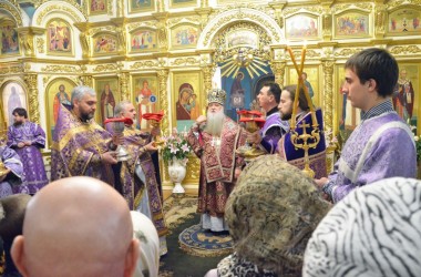 Литургия свт. Василия Великого и чин умовения ног в Казанском соборе (9 апреля 2015 года).