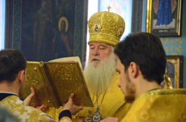 Божественная литургия в Казанском соборе (29 января 2017 года)