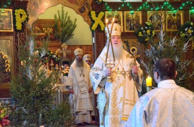 Божественная литургия в Свято-Духовом монастыре (10 января 2017 года)
