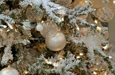 Где в Волгограде отпраздновать Рождество 2017