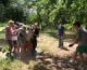 Более двухсот детей отдохнут и потрудятся летом в приходских лагерях Волгоградской епархии