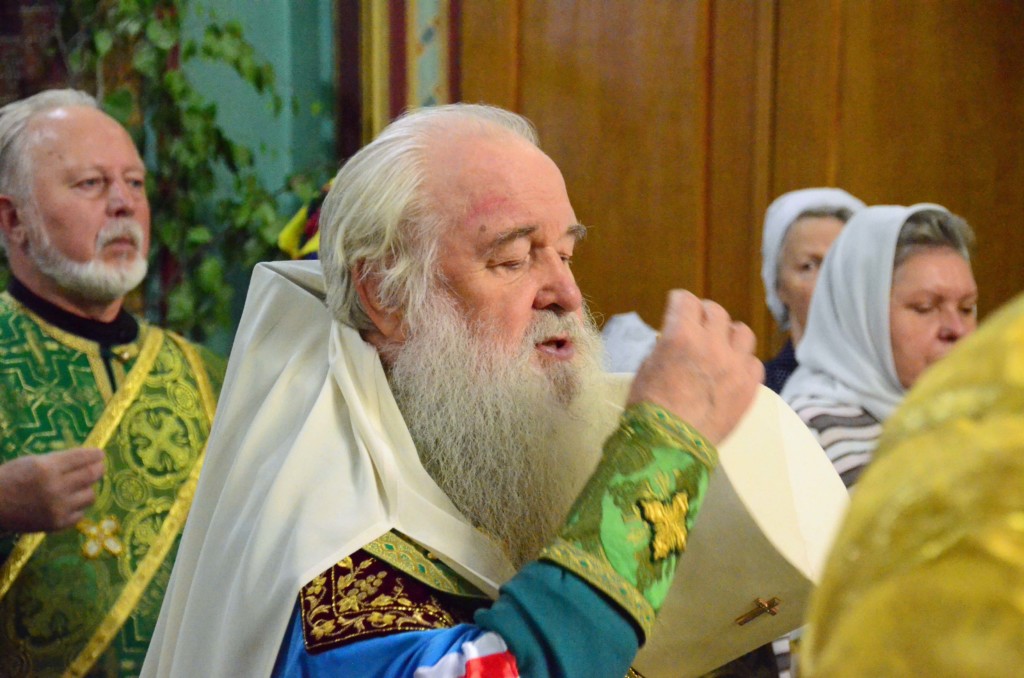 DSC_0667 (11)