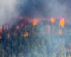 В Волгоградской митрополии молятся о прекращении лесных пожаров в Сибири