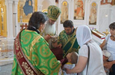 Епископ Елисей совершил Литургию в Александро-Невском соборе