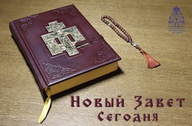 Новый Завет сегодня (четверг седмицы 34-й по Пятидесятнице, память прп. Евфимия Великого)