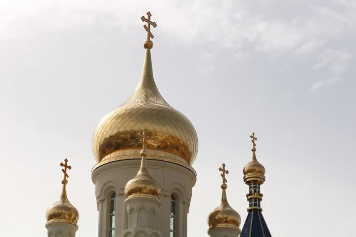 tlg8qydyvkl3zmpbwt2vqkh2pmuyafuz