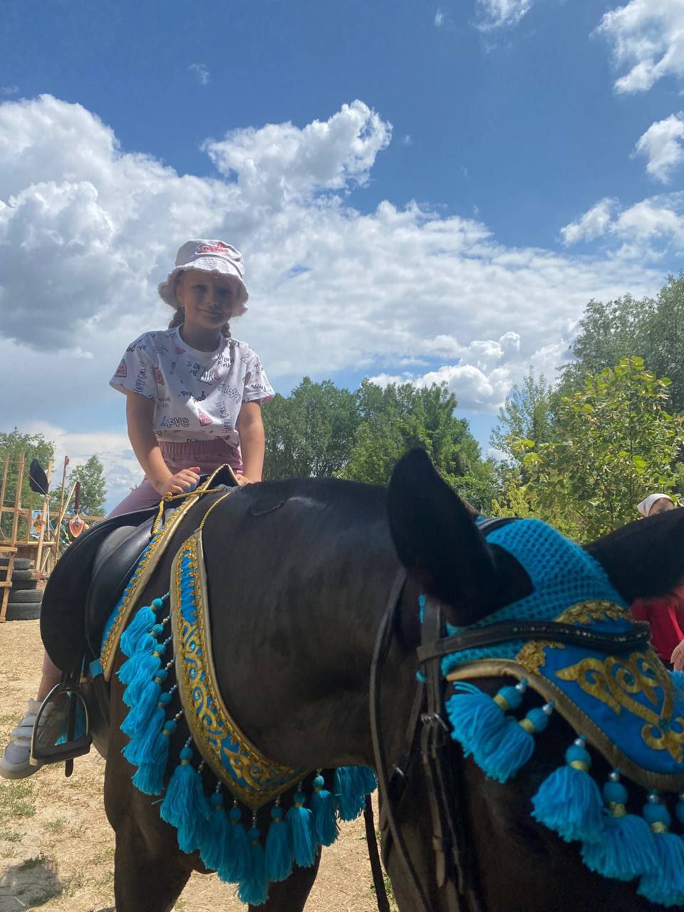 13 d544cb6b-a3a2-4d40-8208-9453a84d094a