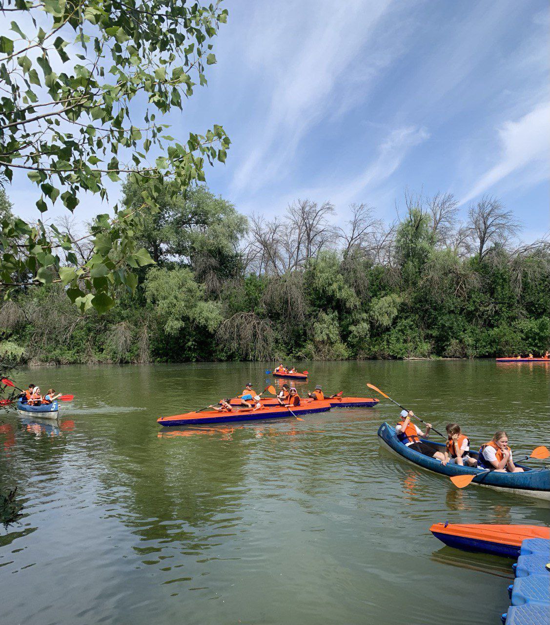 7 7317b1ed-d0c3-40cc-b55d-df6855ba678c