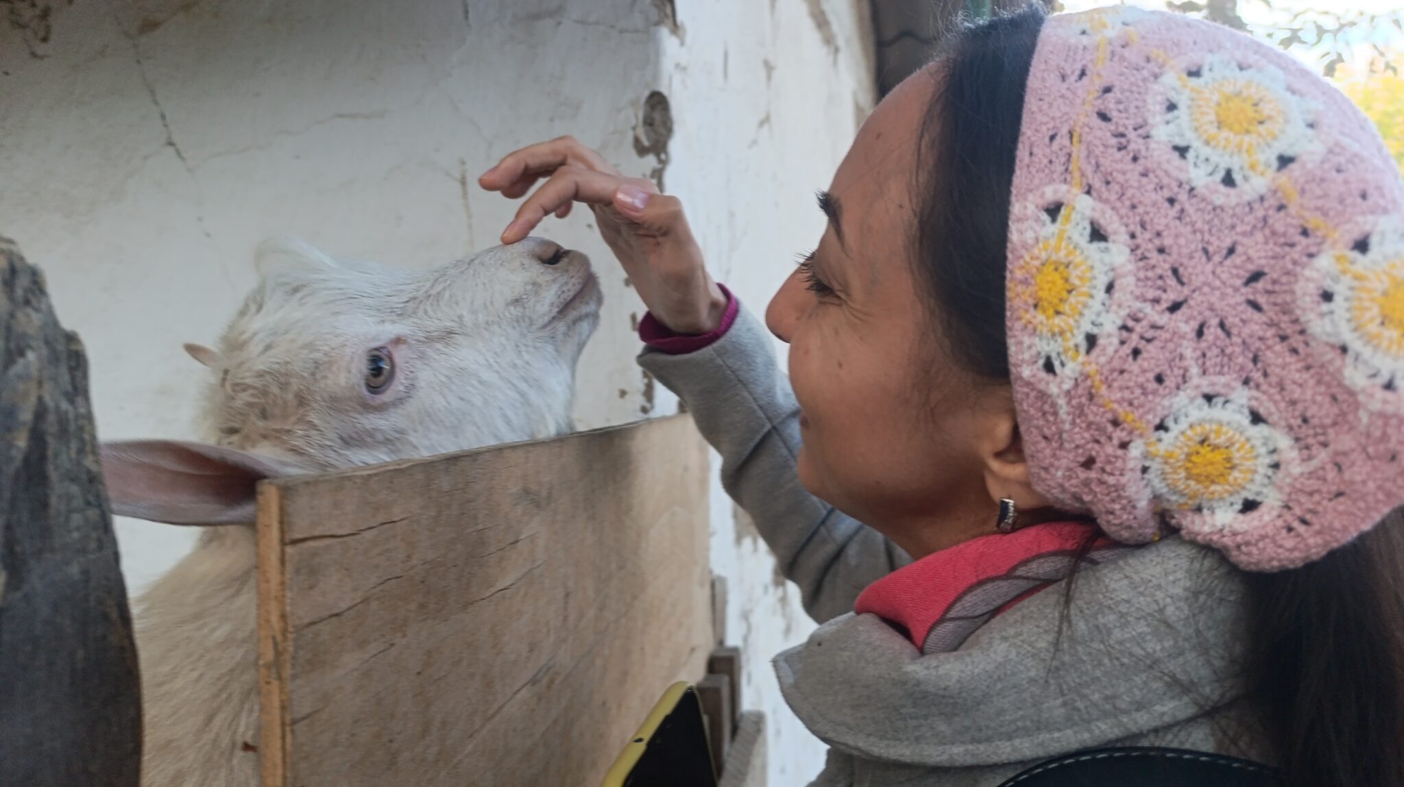 5 PCtn77egl5oQifBwMqDLn_1bFMtns86vwAnzyUHCbHgfIGvAXMybwOW6-0RtOCtMH58uq2a0WamwaNqNUkxxvcDE