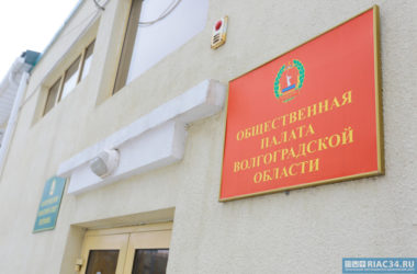 Общественная палата Волгоградской области: аргументы против проекта закона о семейно-бытовом насилии