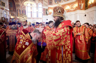 Священнослужителям Волгоградской епархии вручены богослужебно-иерархические награды