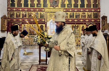 Глава Волгоградской епархии возглавил празднование Собора Предтечи и Крестителя Господня Иоанна