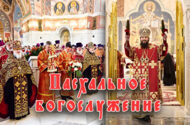 Видео: Пасхальные торжества в Волгоградской епархии