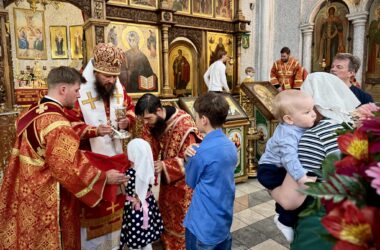 Митрополит Феодор совершил Литургию в Неделю о слепом